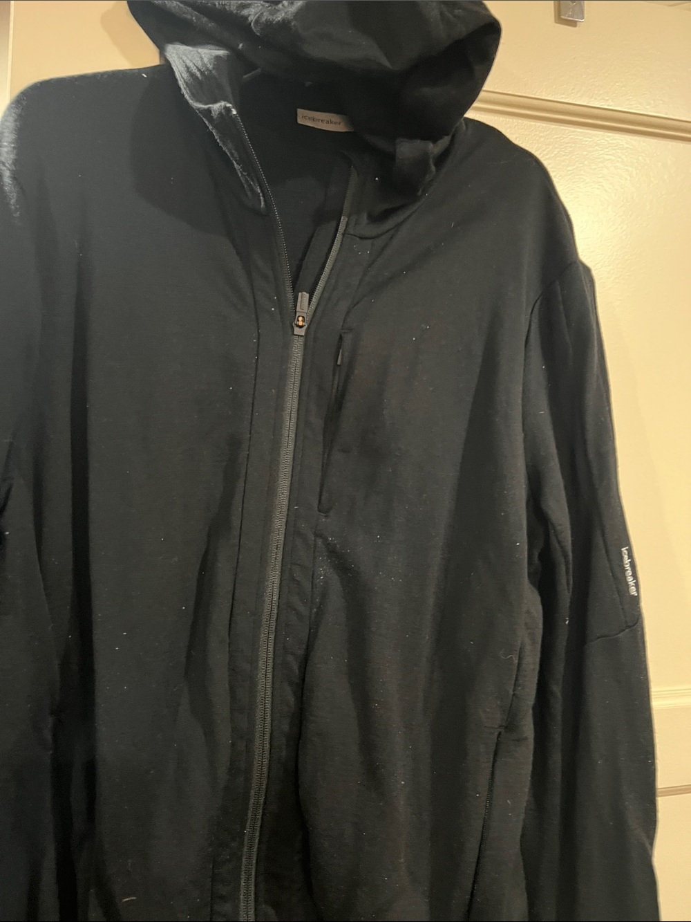 Icebreaker Black Lightweight Hooded Zip Jacket
